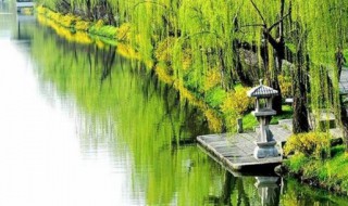 送别王之涣的意思 送别王之涣的意思介绍