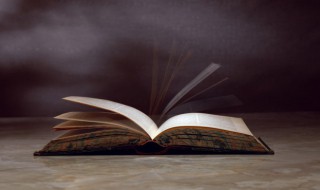 宣王说之的说的意思 宣王说之的说是什么意思