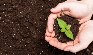 土组词 土如何组词