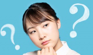 树新蜜蜂英语是什么意思 树新蜜蜂英语的意思