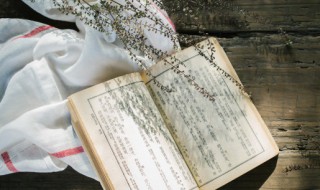 陂组词 陂组词有哪些