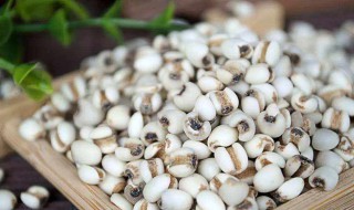 薏米怎样吃祛斑 薏米祛斑的做法