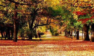 秋天的美景写一段话 形容秋天美景的句子