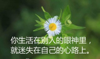 人生经典的句子大全 人生经典句子