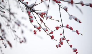 适合下雪发的句子 可以下雪发的句子