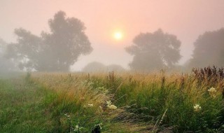 形容有雾仙境的诗句有哪些 形容雾气的唯美诗句介绍