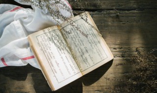 何处得秋霜的秋霜是什么意思 何处得秋霜的出处