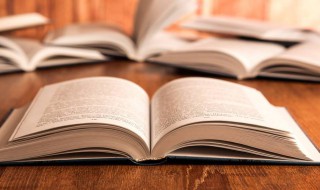 两颊是什么意思 两颊解释