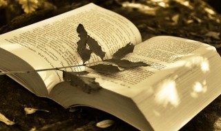 兰芷之室是什么意思 兰芷之室解释