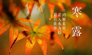 寒露是什么季节的节气 寒露介绍