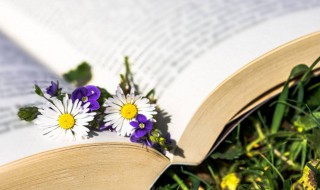 转念的意思 转念的解释