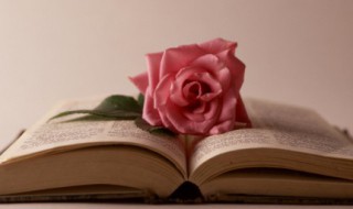 力有未逮什么意思 力有未逮是什么意思及造句