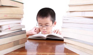 权组词 权字组词有哪些