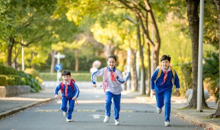 英语元音和元音字母有什么区别 英语元音和元音字母区别是什么