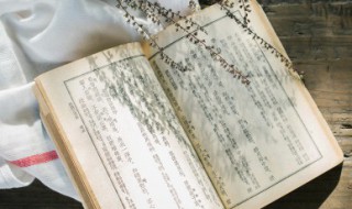 浑欲不胜簪是什么意思?浑又是什么意思 浑欲不胜簪解释