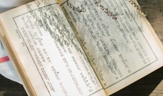 关于思念友人的诗句 有关思念友人的诗句有哪些