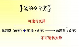 什么是可遗传变异? 具体什么是可遗传变异