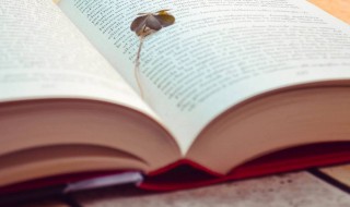 干云是什么意思 干云解释