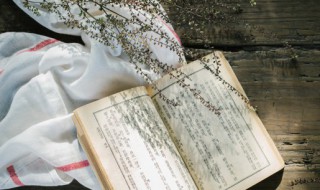 寄语的意思 寄语词语解释