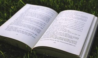 贵圈是什么意思 贵圈解释