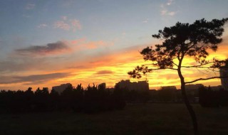 学校黄昏晚霞唯美句子 描写晚霞的句子有哪些