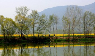 描写老家的句子 描写家乡的句子精选