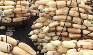 藕汤怎样做藕是白的 藕汤怎么做成白色窍巧