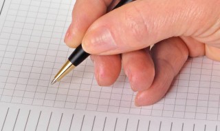 又见枝头吐新芽作文800字 又见枝头吐新芽高中作文