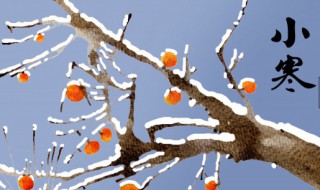 小寒节气含义是什么 小寒节气寓意