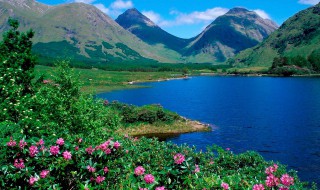 风景好句摘抄30字 优美景色的好句推荐