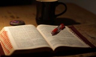 李清照的诗词大全 诗人李清照诗词全集