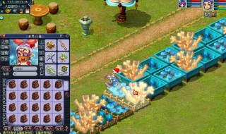 梦幻西游植物种子怎么种 梦幻西游植物种子如何种