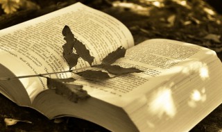 闲邪存诚的意思 闲邪存诚的解释