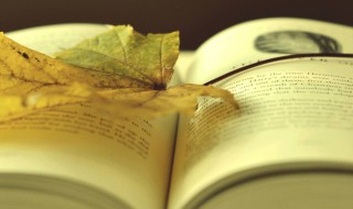 博士买驴的意思 博士买驴的解释