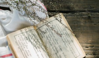 表达爱国之情的诗句 表达爱国之情的相关诗句