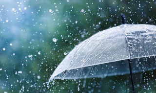 秋天下雨的诗句 秋天下雨有什么诗句