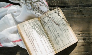 但愿人长久千里共婵娟这句话是什么意思 但愿人长久千里共婵娟这句话的意思