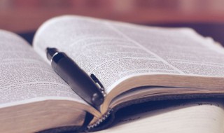 茄组词 茄怎么组词