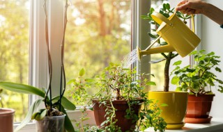 分子内呼吸的名词解释 什么叫无氧呼吸