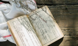 磕龀是什么意思 磕龀解释