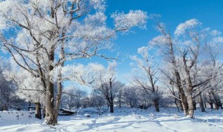 关于雪的发朋友圈句子 下雪的唯美句子