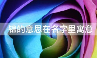 锦的意思在名字里寓意 锦在名字里寓意是什么