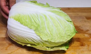 秋白菜怎么储存 秋白菜的保存方法