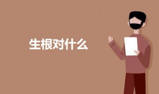 生根对什么 关于生根对什么的介绍