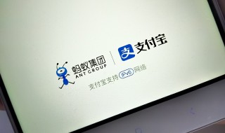 支付宝2020年年度账单怎么看 支付宝2020年年度账单查看方法