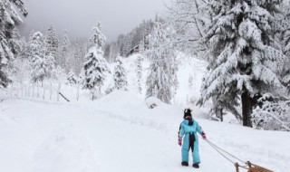 2021第一场雪文案 怎么写2021第一场雪文案呢