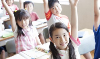 我的小伙伴作文500字（我的小伙伴作文500字作文）