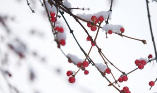 第一场雪来的说说（第一场雪到来的说说）