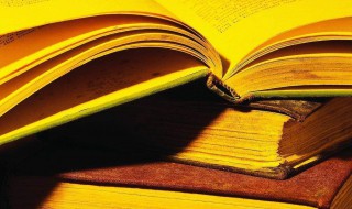 描写颜真卿的经典句子 形容颜真卿的句子