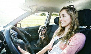 描绘在车上吹风的句子 坐在车上吹风的说说